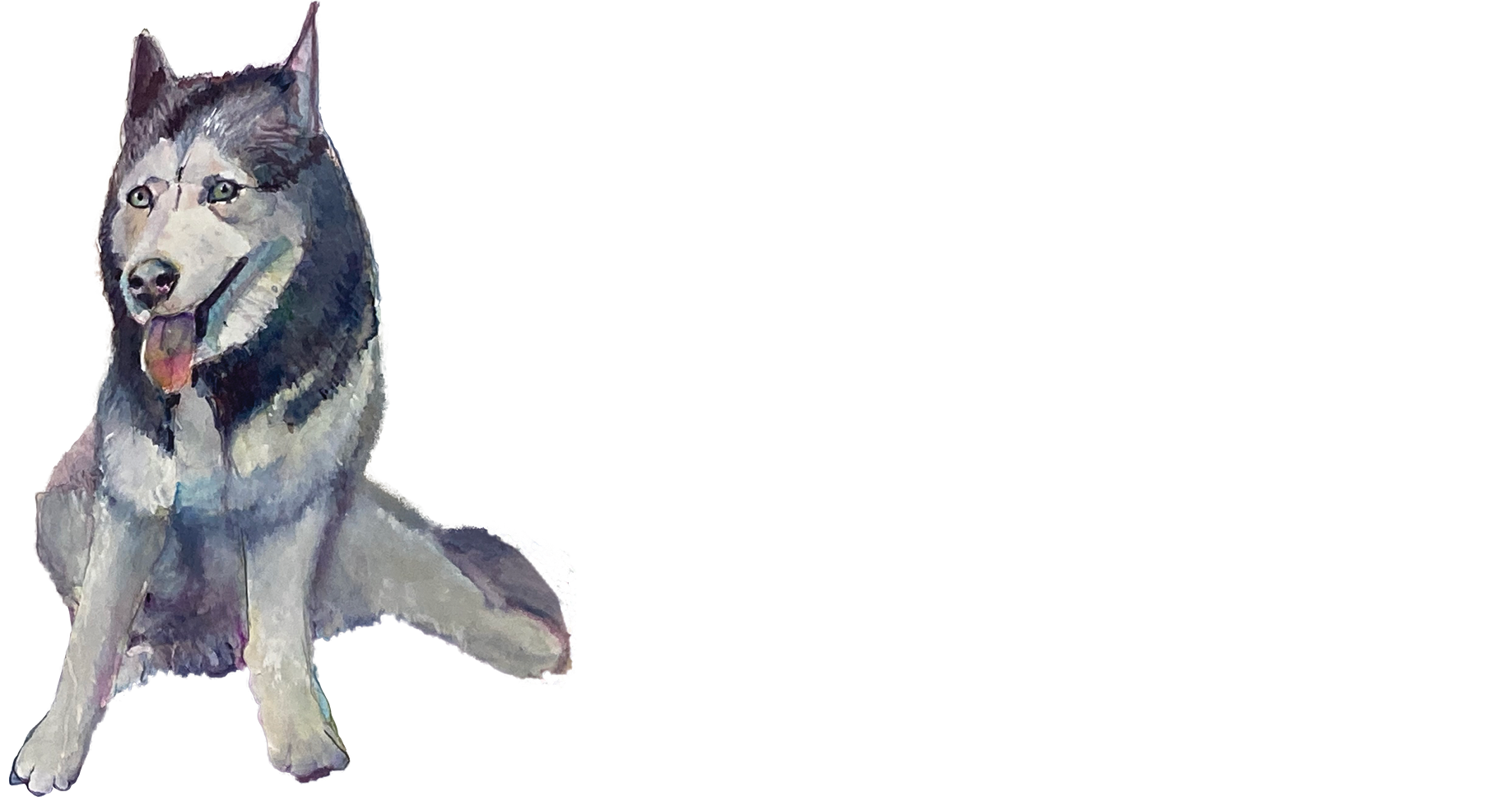 Misty The Dog Movie